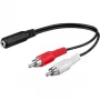 Wentronic Goobay 3,5 mm-pistikupesa-/RCA-adapterkaabel, must, 0,2 m - 3,5 mm pistikupesa (3-kontaktiline, stereo) > 2x RCA-pistik (heli vasak/parem) (50092)