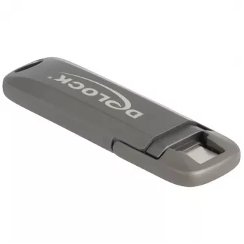 USB-mälupulk DeLOCK 54012 256 GB USB USB-C hall