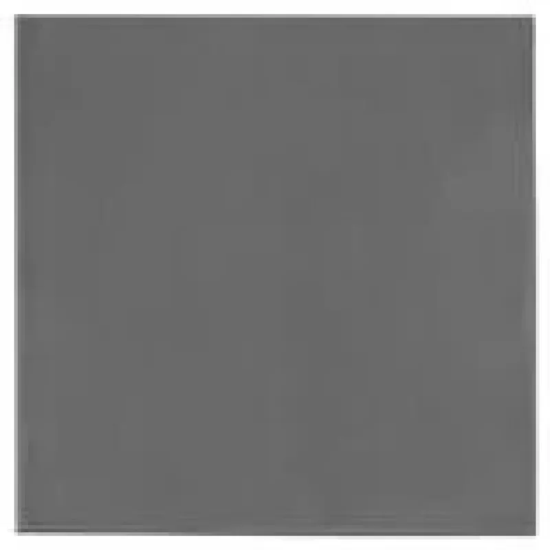 Thermal Grizzly TG Minus Pad Extreme V2 - 100x 0,5 mm (TG-MP-E2-100-100-05)