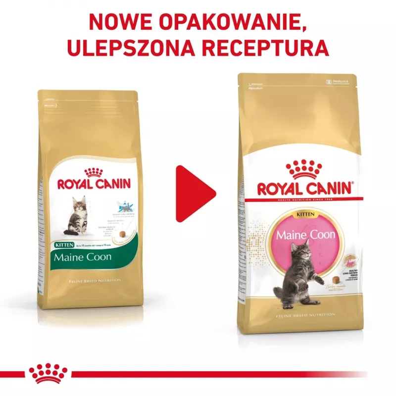 Kuiv kassitoit Royal Canin Maine Coon Kitten 2 kg — linnuliha, valk 36%, rasv 23%