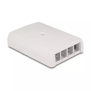 DeLOCK 67053 Keystone pinnale paigaldatav karp, 4-port, valge
