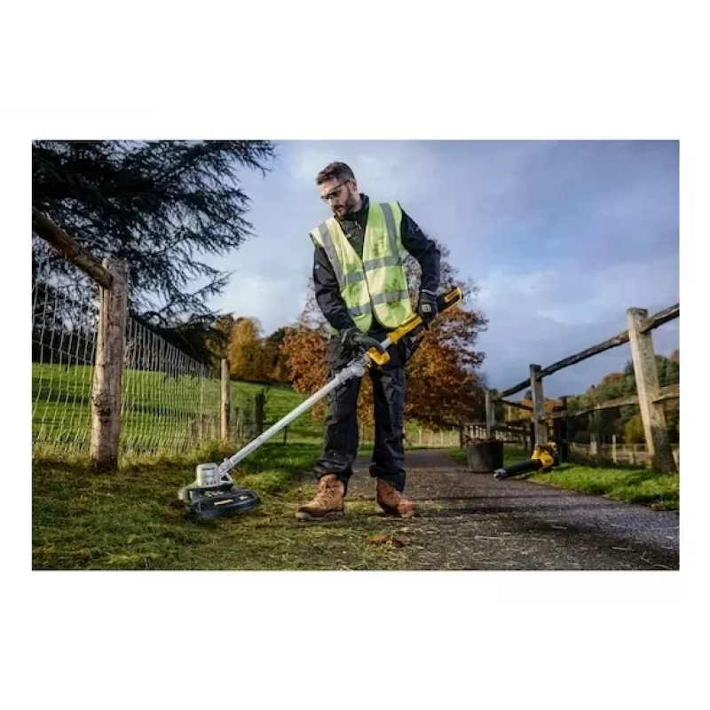 DeWALT DCMST561P1-QW muruniiduk