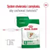 ROYAL CANIN Mini Ageing Adult +12 - kuiv koeratoit - 3,5 kg
