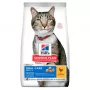 HILL'S SP Adult Oral Care Chicken - kuiv kassitoit - 1.5kg
