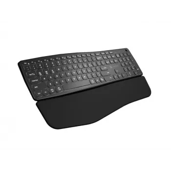 NATEC PORIFERA klaviatuur Kodu/Kontor Bluetooth QWERTY US International Must