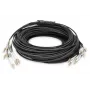 Breakout kaabel Digitus DK-2433CU030BK-BBB 30m OM4 12 Fibers LC/UPC
