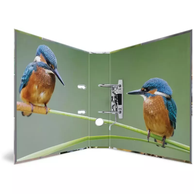 Ringbinder HERMA 19254 A4 Mitmevärviline D-rõngaga hoiustamine 285x315mm