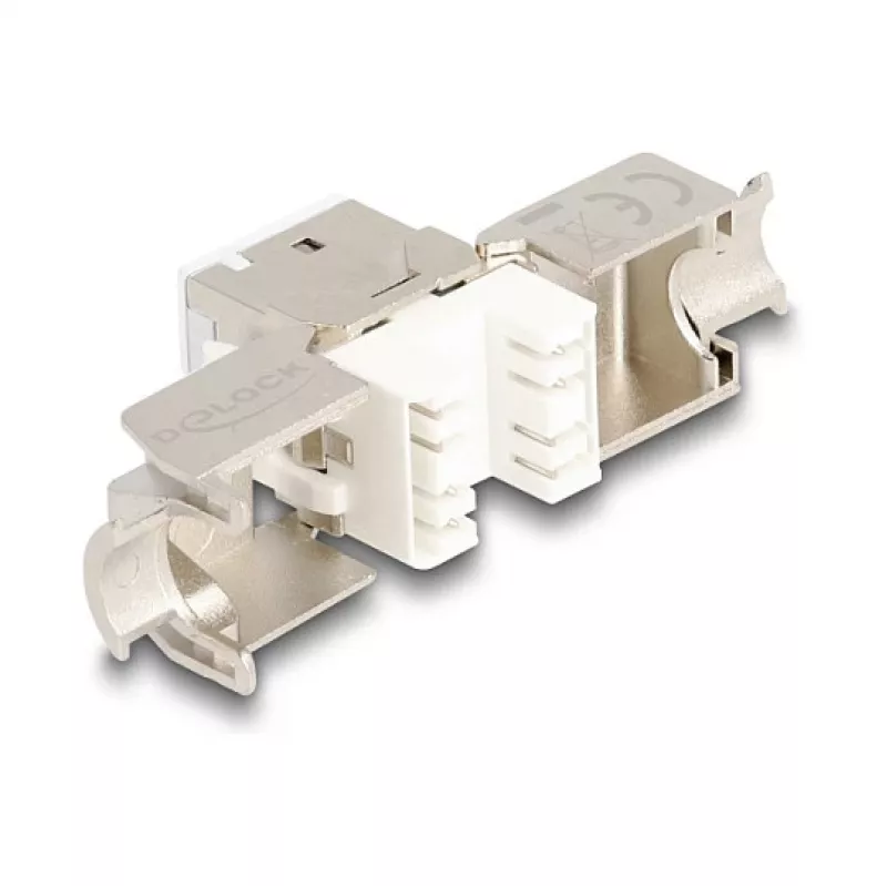 DeLOCK 88119 võtmemoodul lame valge RJ-45 10 tk