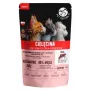 Kassipouch PetRepublic ADULT 100 g — fileed vasikalihast ribadega