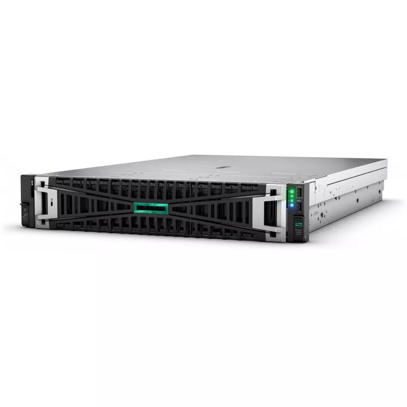 Server DL385 G11 9124 64G 8SFF P77245-425