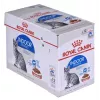 Märg kassitoit Royal Canin Indoor Sterilized 85 g kott — täiskasvanud toas elavatele kastreeritud kassidele, linnuliha maitsega, pakendis 12 x 85 g