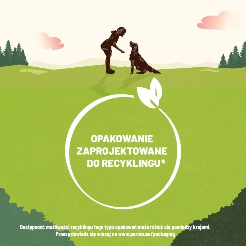 PURINA Adventuros Training lõhe - koeramaius - 40g