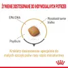 Kuiv koeratoit Royal Canin Pomeranian Adult 3 kg — väikesetõuliste valem täiskasvanud pomeranlastele