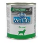 FARMINA Vet Life Canine Renal - märg koeratoit - 300 g