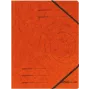 Tavaline dokumendikaust Herlitz 972463 Kartong Oranž A4