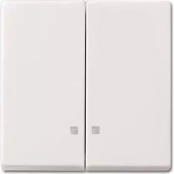 BUSCH JAEGER 2CKA001731A3996 - Klahvlüliti - Valge - IP20
