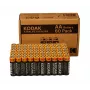 Kodak XTRALIFE leelis-AA patarei (60 tk)