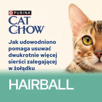 CAT CHOW Hairball Control Chicken Green Beans in Sauce 85g