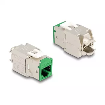 DeLOCK 88116 võtmemoodul lame roheline RJ-45 10 tk