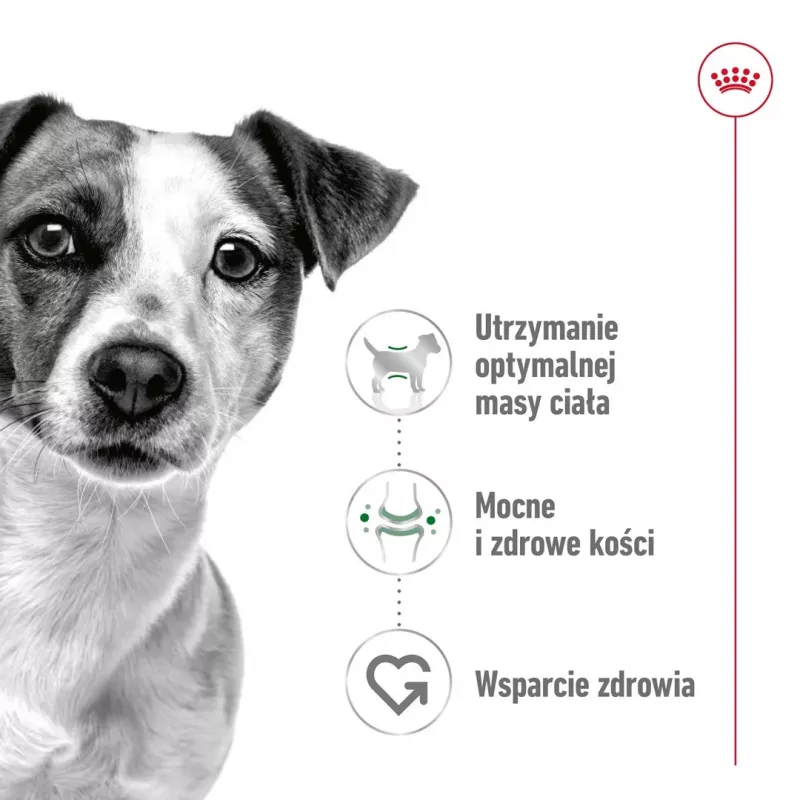 ROYAL CANIN Adult Mini S - kuiv koeratoit - 2 kg