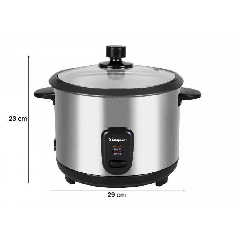Beper P101VAP001 vertikaalne riideauruti 2200 W aurufunktsiooniga
