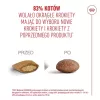 Kuiv kassitoit Royal Canin FHN Ageing 11+ 2 kg — linnuliha, 30% valku, liigeste- ja neerutoetus
