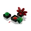 Lego Icons 10309 Sukulendid