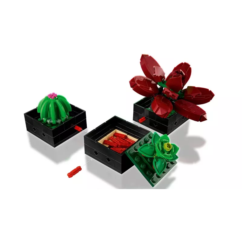 Lego Icons 10309 Sukulendid