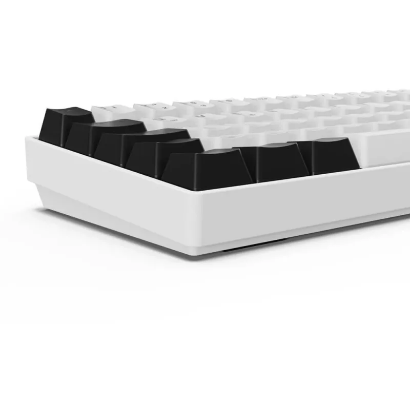 Sharkoon SGK50 S4 klaviatuur Kodu USB QWERTZ Saksa Valge RGB LED 60%