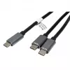 ROLINE - USB-kaabel - 24 kontaktiga USB-C (M) kuni 24 kontaktiga USB-C (M) - USB 2.0 - 1,85 m - USB-toiteallikas (100 W) - Must (11.02.8308)