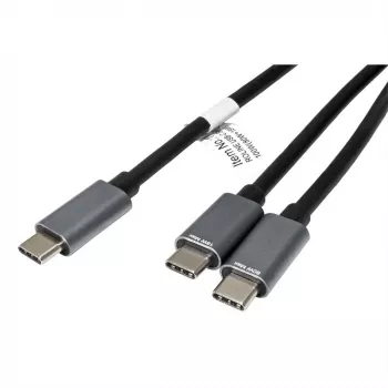 ROLINE - USB-kaabel - 24 kontaktiga USB-C (M) kuni 24 kontaktiga USB-C (M) - USB 2.0 - 1,85 m - USB-toiteallikas (100 W) - Must (11.02.8308)