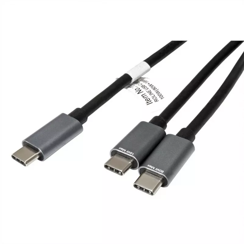 ROLINE - USB-kaabel - 24 kontaktiga USB-C (M) kuni 24 kontaktiga USB-C (M) - USB 2.0 - 1,85 m - USB-toiteallikas (100 W) - Must (11.02.8308)