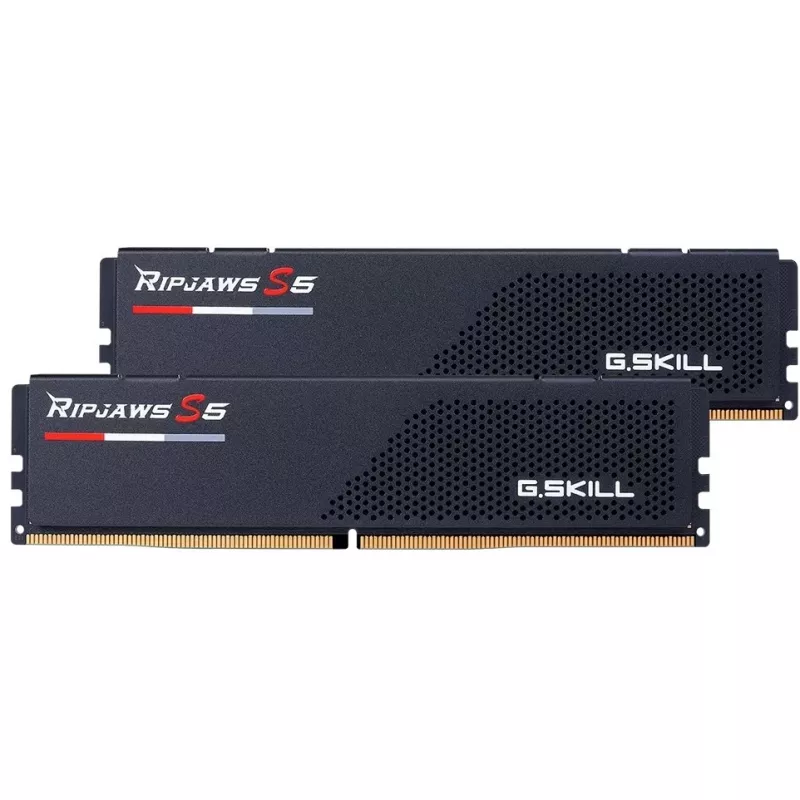 G.skill F5-6800J3446F24GX2-RS5K mälumoodul