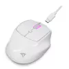 Sharkoon OfficePal M25W juhtmeta kontorihiir, paremakäeline, 4000 DPI