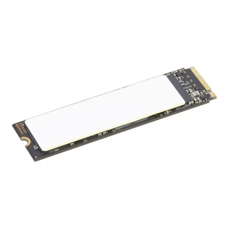 Lenovo 4XB1M86955 sisemine pooljuhtketas 1 TB M.2 PCI Express 4.0 NVMe