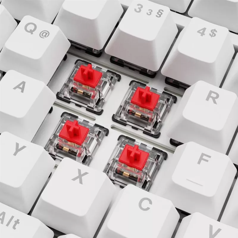 Sharkoon SGK25 75% QWERTZ USB juhtmega RGB LED klaviatuur, valge
