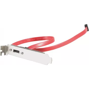 S-ATA e-SATA pesa kronstein ShiverPeaks 75625 1-pordiga, kaabliga