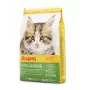 Kuiv kassitoit Josera Kitten Poultry 2 kg