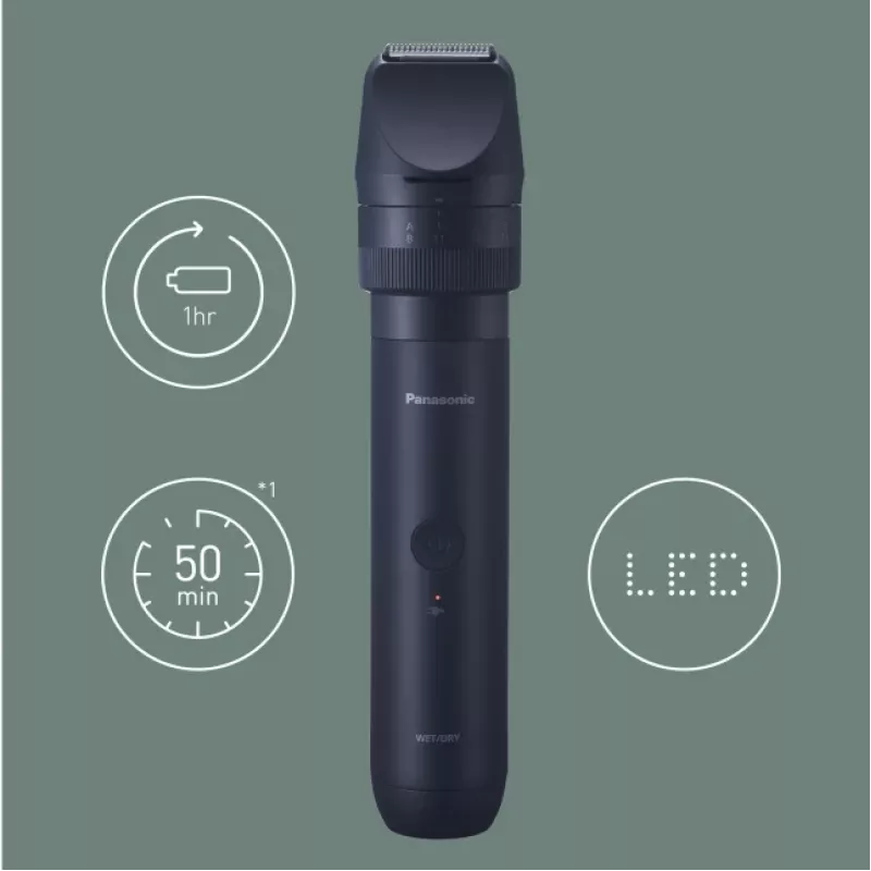 Panasonic MULTISHAPE Black 39 nikkel-metallhüdriid (NiMH)