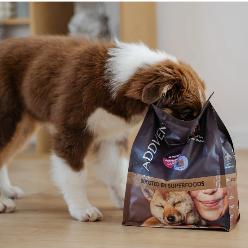ADDVENA Boosted by superfoods Junior Medium/Large Beef - kuiv koeratoit - 10kg
