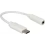 Audio kaabel DeLOCK 65913 0.14m 3.5mm USB valge