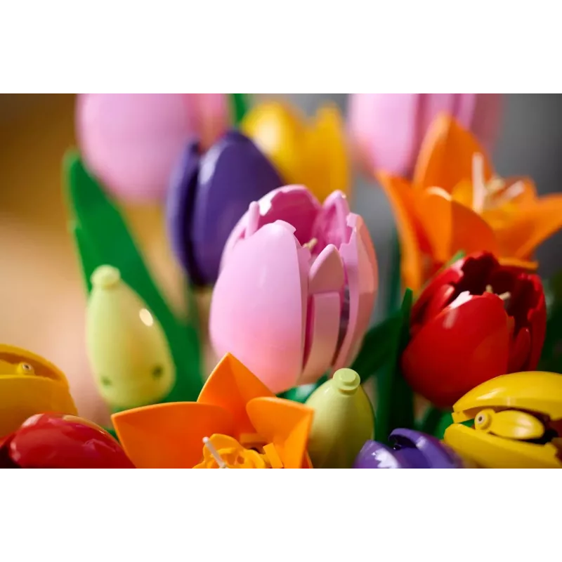LEGO BOTANICALS 11501 Tulbikimp