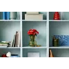 LEGO Icons Roosikimp kunstlillede komplekt täiskasvanutele, botaaniline kollektsioon, kodusisustuse aksessuaar, sõbrapäeva kingitus naistele