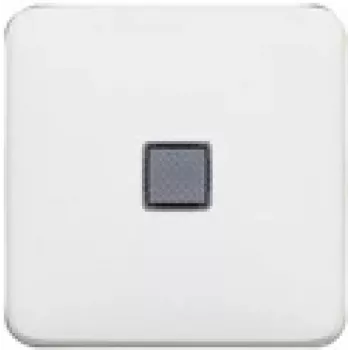 Legrand 776211 seinakate/lülitikate Valge
