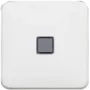 Legrand 776211 seinakate/lülitikate Valge
