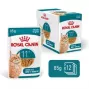 Märg kassitoit Royal Canin FHN Ageing 11+ Gravy 12×85 g – täisväärtuslik märgtoit kassidele kastmes
