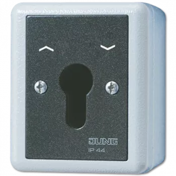 JUNG 834.28G elektriline lüliti Võtmega lüliti must - valge (834.28G)