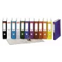 Lever arch file ESSELTE 811971 A4 Must 5 cm spine