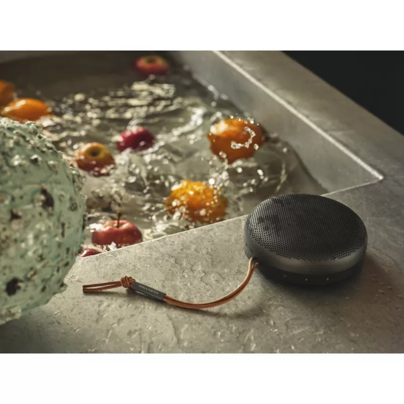 Bang & Olufsen 1734002 kaasaskantav veekindel Bluetooth-kõlar