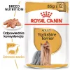Royal Canin Yorkshire Terrier täiskasvanud 85 g